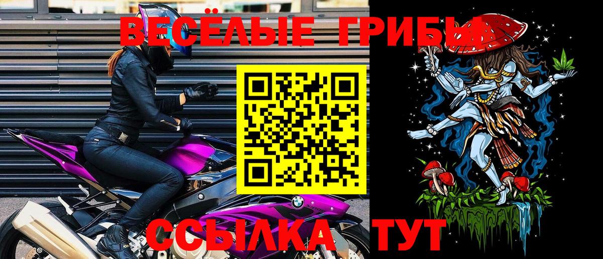 Псилоцибиновые грибы прущие грибы  Вход с VPN  Урус-Мартан  Галлюциногенные грибы Psilocybe 