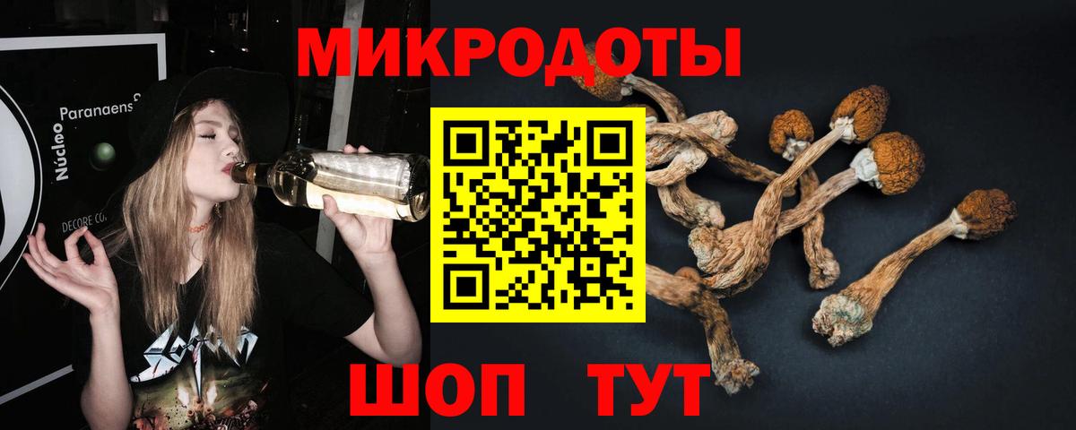 Галлюциногенные грибы Cubensis Урус-Мартан